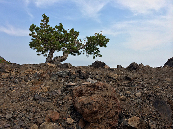Cresting the ridge