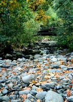 Creek