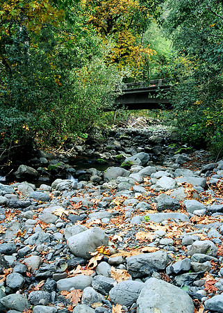 Creek