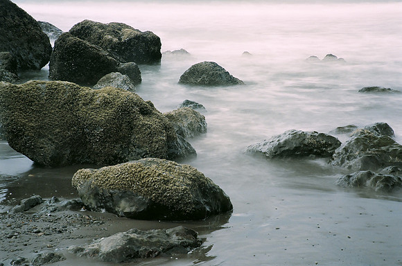 Ocean