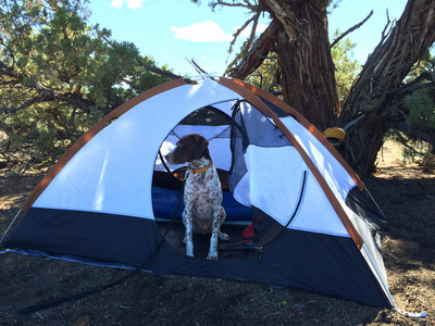 Tabor Tent