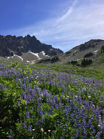 Cispus Basin 1