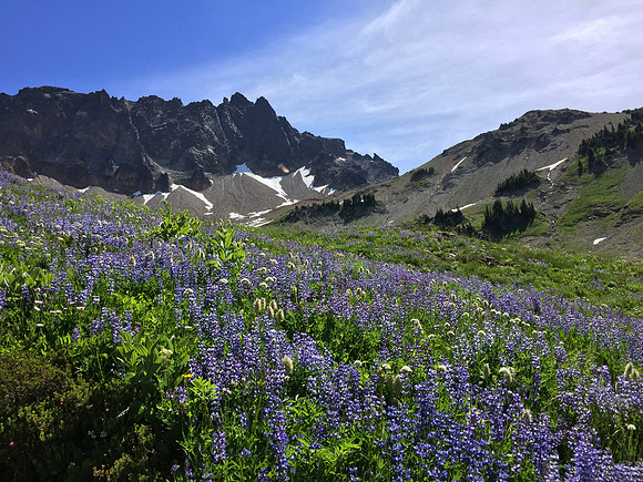 Cispus Basin 2