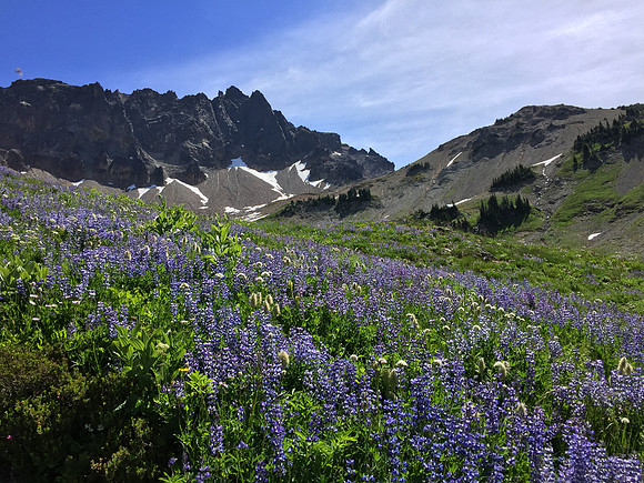 Cispus Basin 3
