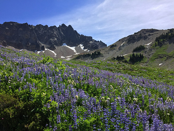 Cispus Basin 4