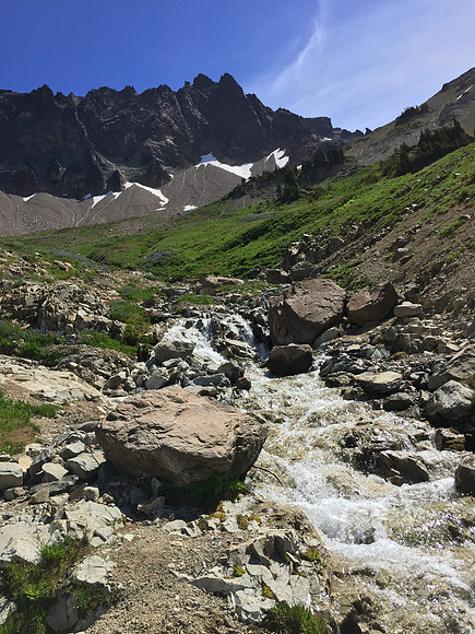 Cispus River 1