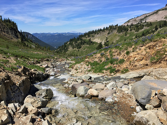 Cispus River 3