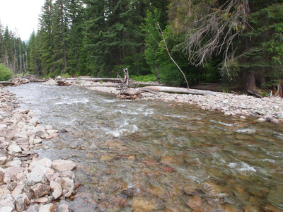 Cispus River Crossing
