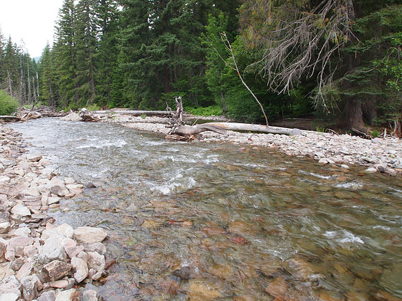 Cispus River Crossing