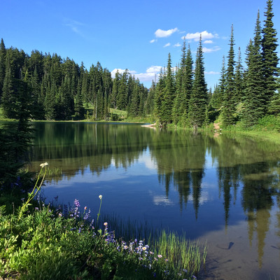 Sheep Lake
