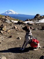 Tabor Admiring Mt Adams