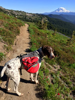 Tabor Hiking in front of Mt Adams