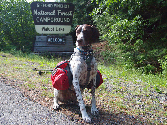 Tabor Posing at Walupt Lake Sign