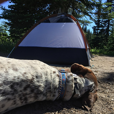 Tabor Resting Outside Tent at Sheep Lake