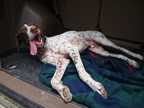 Tabor Tired at End