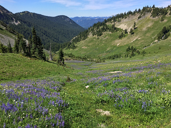 View Down Cispis Basin 2