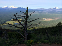 The view while hiking up the Black Butte trail