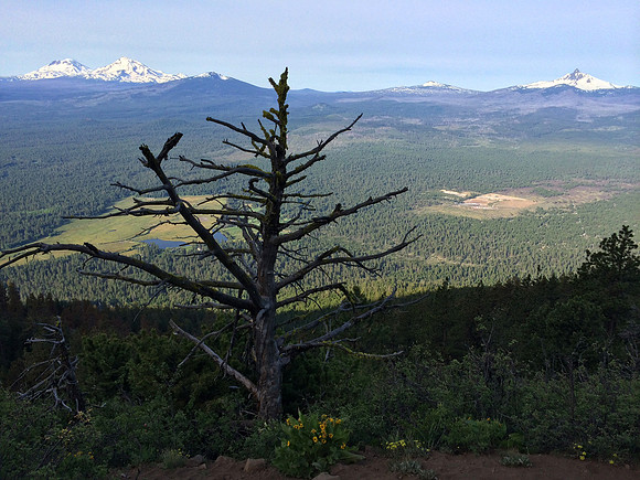 The view while hiking up the Black Butte trail