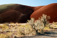 Desert Contrast
