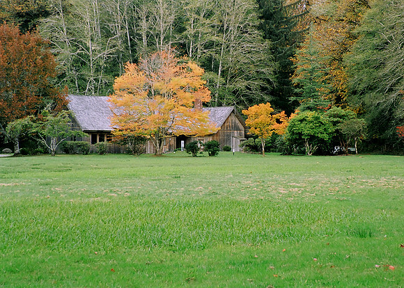 Quinault Ranger Station