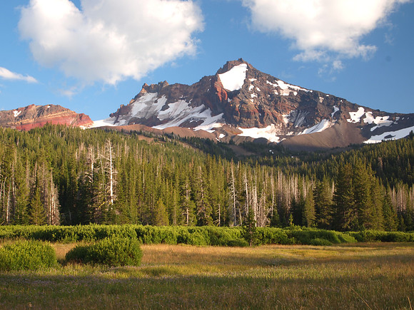 Broken Top over Meadow