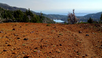 Faint trail on Friday