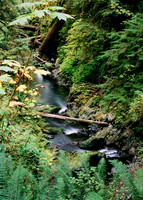 Willaby Creek