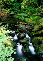 Willaby Creek