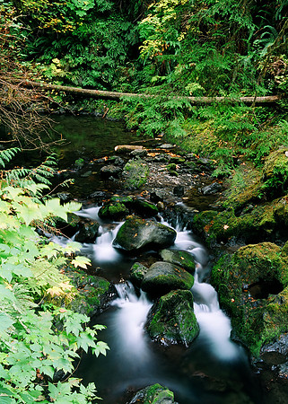 Willaby Creek