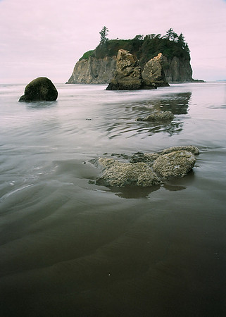 Ocean