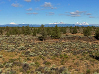 Mountains and Desert