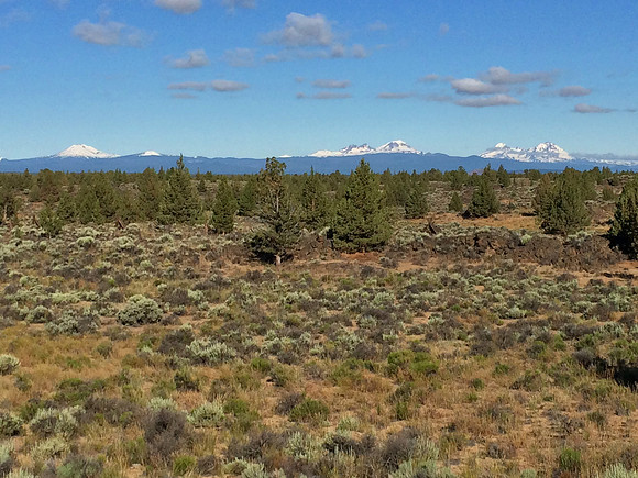 Mountains and Desert