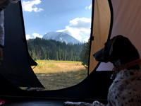 Tabor Relaxing at Camp