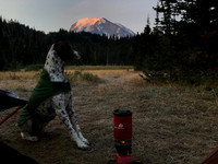 Tabor Watching the Sunrise