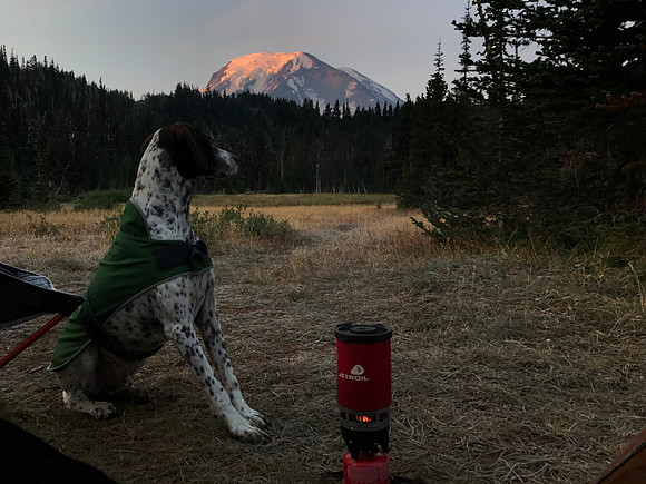 Tabor Watching the Sunrise