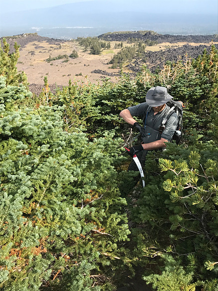 A Little Trail Maintenance