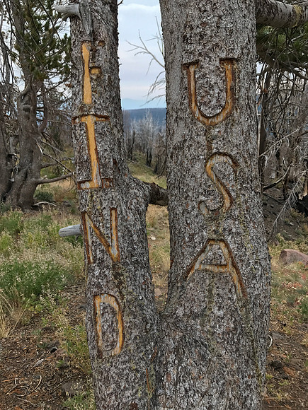 FIND USA 2