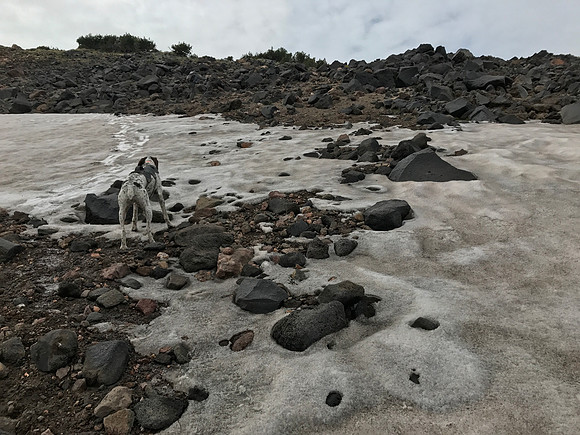 Snow Field Crossing
