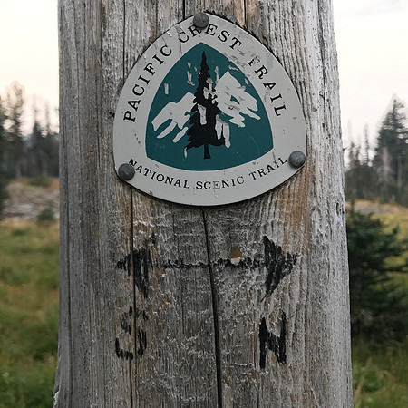 PCT