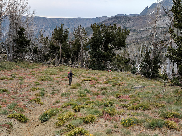 Trevor Near Avalanche Valley