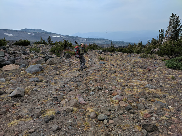 Hiking Back