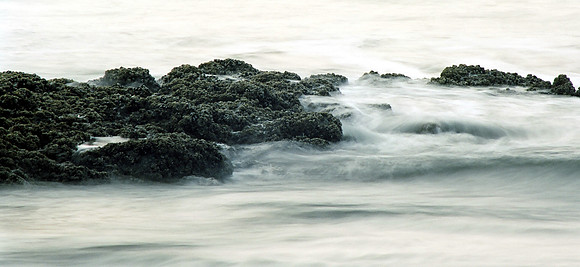 Ocean