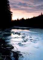 Upper Queets Valley