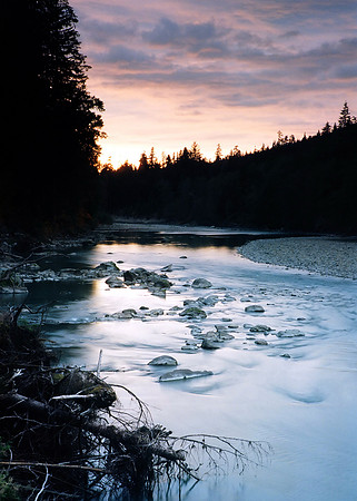 Upper Queets Valley