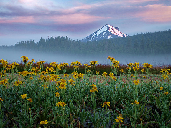Mt. McLoughlin fog lifting