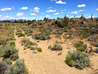 Trail Through Sagebrush