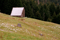 Doalson Prarie