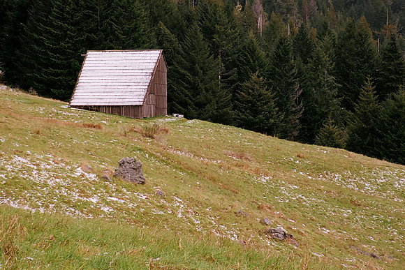 Doalson Prarie