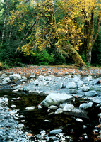 Creek