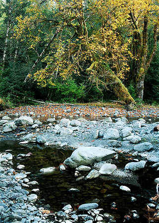 Creek